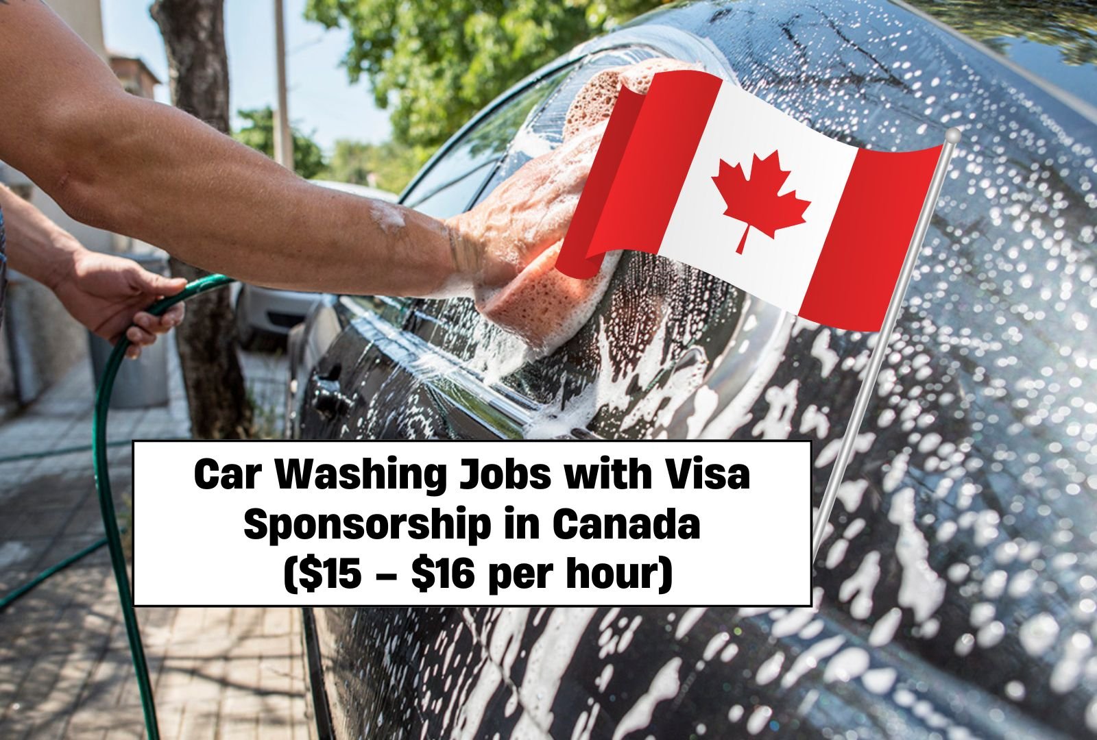 Car Washing Jobs with Visa Sponsorship in Canada ($15 – $16 per hour)